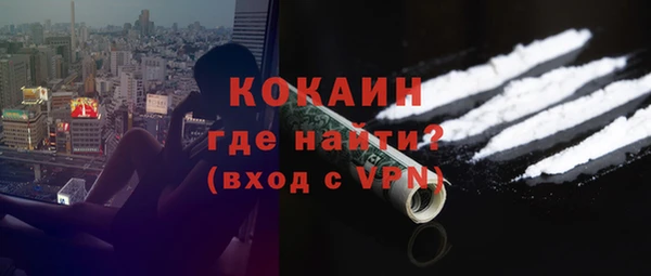 ГАЛЛЮЦИНОГЕННЫЕ ГРИБЫ Белокуриха