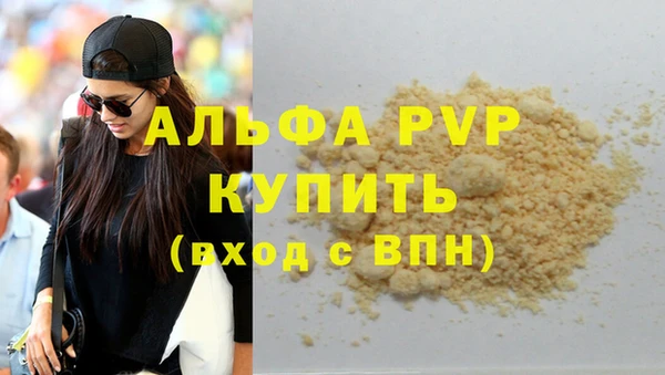 ГАЛЛЮЦИНОГЕННЫЕ ГРИБЫ Белокуриха