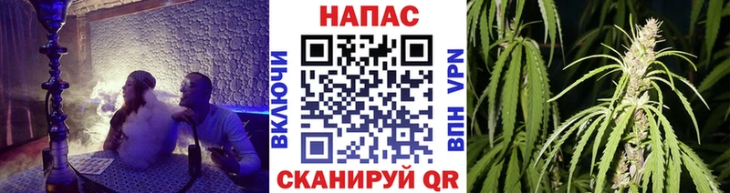 блэк спрут зеркало  Светлогорск  МАРИХУАНА ГИДРОПОН 